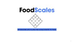 Foodscales logo 2