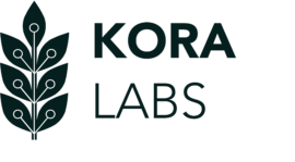 Kora Labs 2