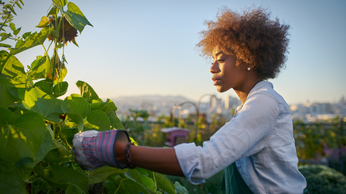 Welcome To Eit Food Collaborators To Implement The Women In Agrifoood Project Eit Food